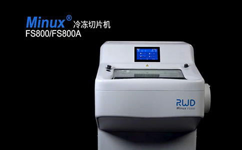 二氧化碳培养箱 二氧化碳培养箱