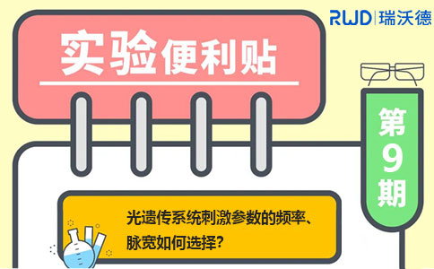 光遗传系统 光遗传系统