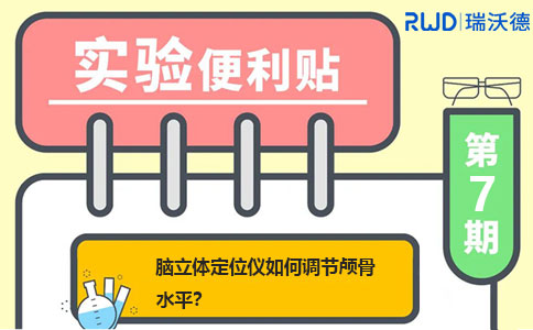 脑立体定位仪如何调节颅骨水平? 脑立体定位仪如何调节颅骨水平?