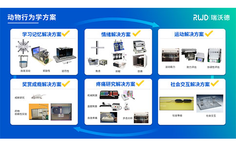 必威官方首页官网betway行为学整体解决方案 必威官方首页官网betway行为学整体解决方案