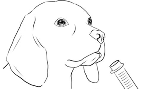 【行业标准】犬猫氧气疗法技术规范全部解答 【行业标准】犬猫氧气疗法技术规范全部解答