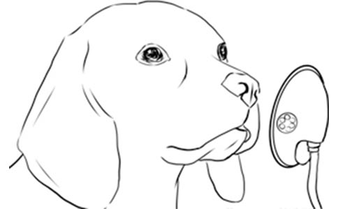 【行业标准】犬猫氧气疗法技术规范全部解答 【行业标准】犬猫氧气疗法技术规范全部解答