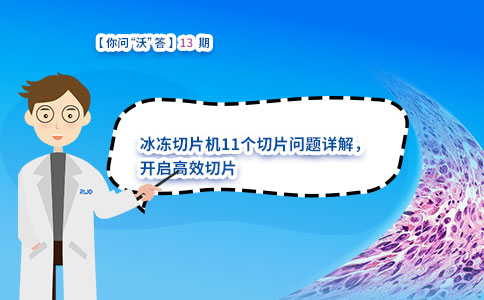 冰冻切片机11个切片问题详解,开启高效切片 冰冻切片机11个切片问题详解,开启高效切片