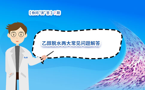 乙醇脱水两大常见问题解答 乙醇脱水两大常见问题解答