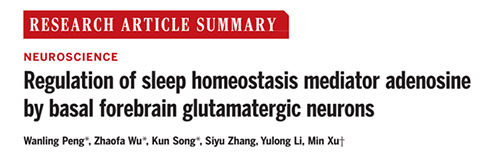 脑立体定位仪助力科研工作者在主刊发文3000+ 脑立体定位仪助力科研工作者在主刊发文3000+