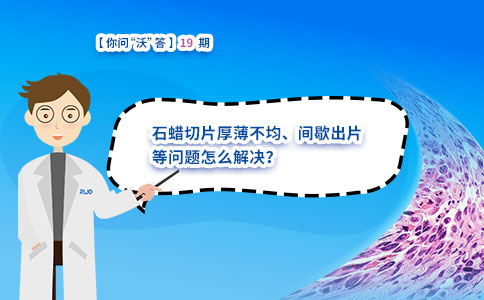 石蜡切片厚薄不均、间歇出片等问题怎么解决? 石蜡切片厚薄不均、间歇出片等问题怎么解决?