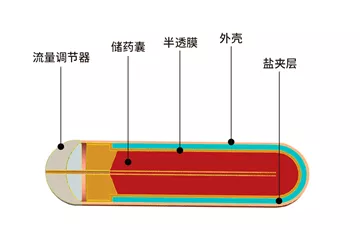 缓释泵内部结构图 缓释泵内部结构图