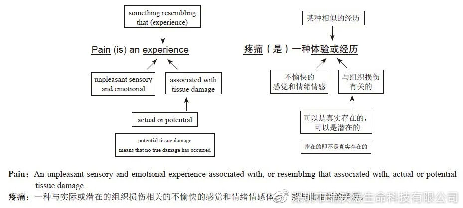疼痛定义句型结构解析 疼痛定义句型结构解析