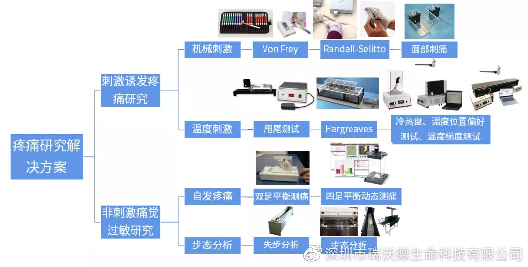 疼痛研究解决方案 疼痛研究解决方案