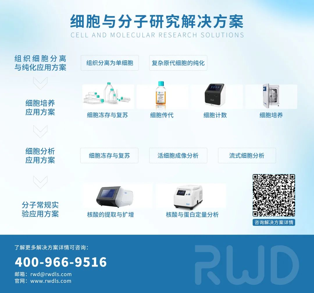 细胞分子与解决方案 细胞分子与解决方案
