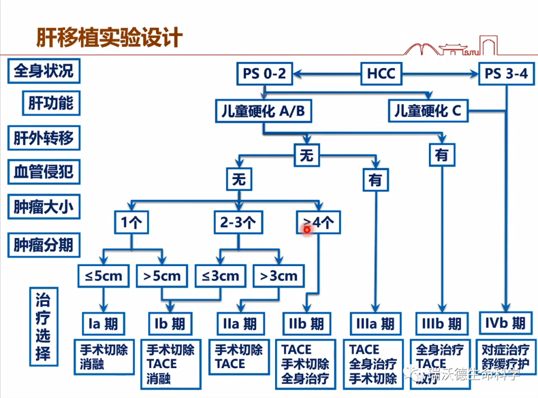 肝移植实验设计 肝移植实验设计