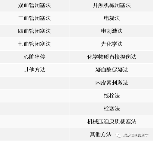脑缺血动物模型手术方法 脑缺血动物模型手术方法