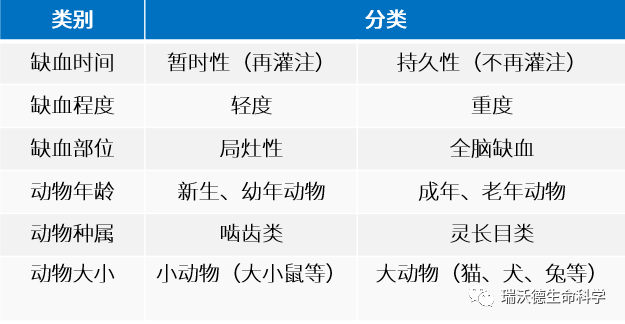 脑缺血动物模型分类 脑缺血动物模型分类
