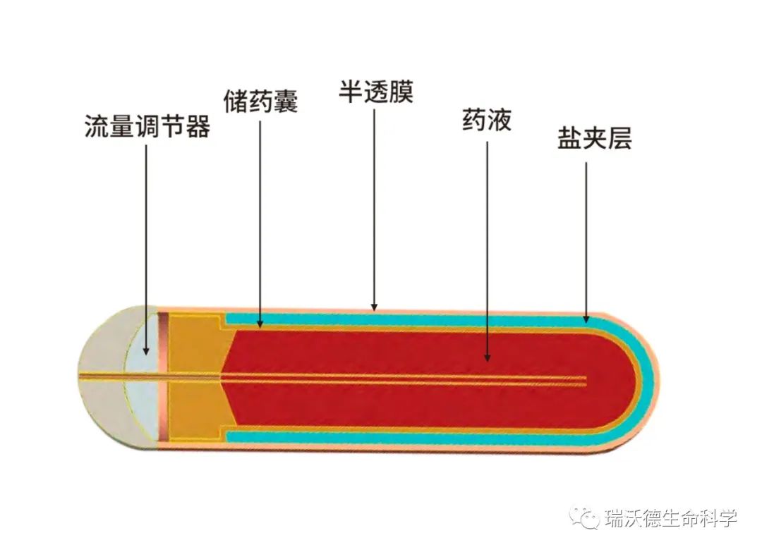 缓释泵内部结构 缓释泵内部结构