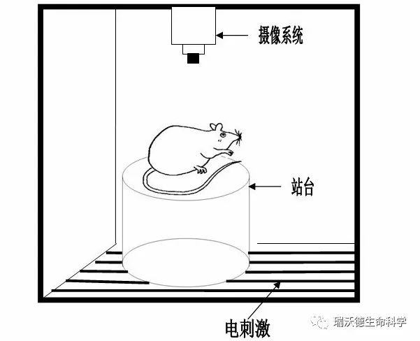 被动回避 被动回避