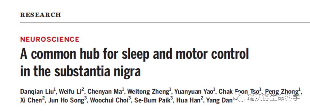神经元调控睡眠 神经元调控睡眠