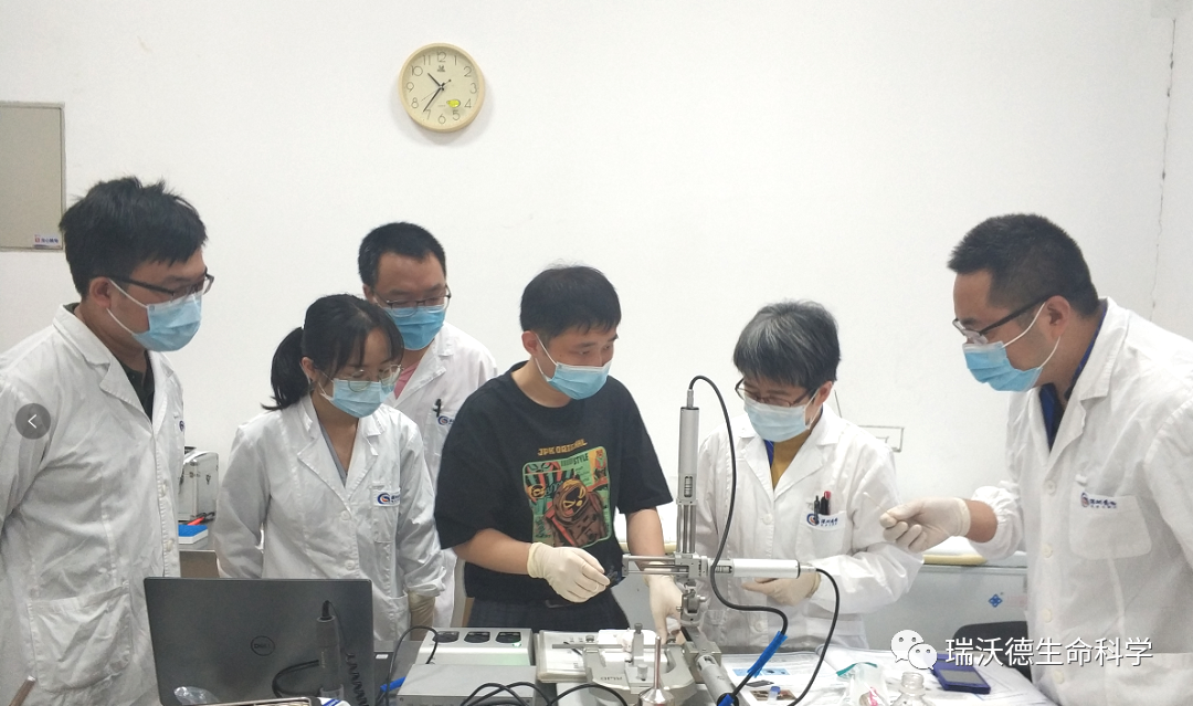 深圳市药品检验研究院 深圳市药品检验研究院