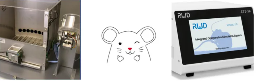 光遗传技术 光遗传技术