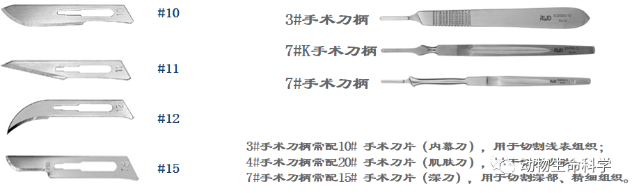 手术刀 手术刀