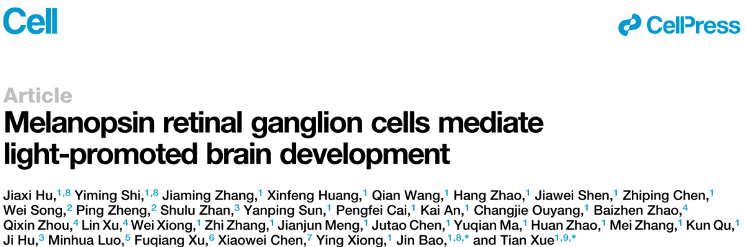 适宜的光刺激可促进新生期大脑发育 适宜的光刺激可促进新生期大脑发育