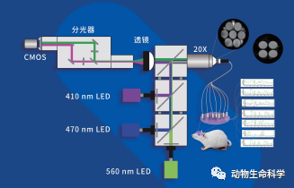 光纤记录法 光纤记录法