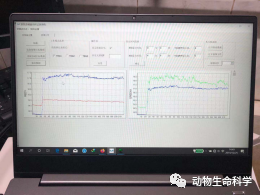 较为明显的多巴胺信号变化 较为明显的多巴胺信号变化