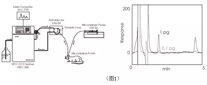 应用实例 应用实例
