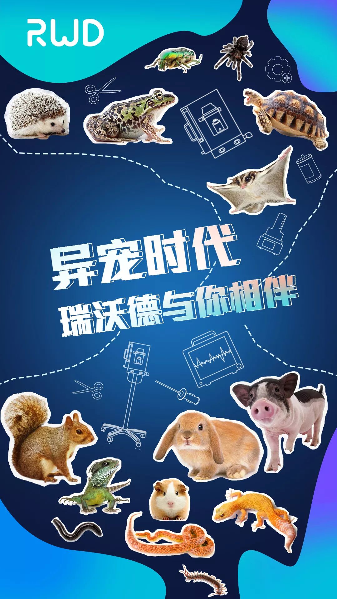 异宠时代 异宠时代