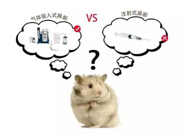 吸入麻醉还是注射麻醉? 吸入麻醉还是注射麻醉?