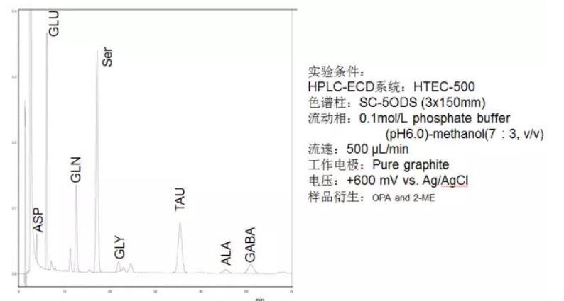 大鼠海马匀浆的氨基酸检测 大鼠海马匀浆的氨基酸检测
