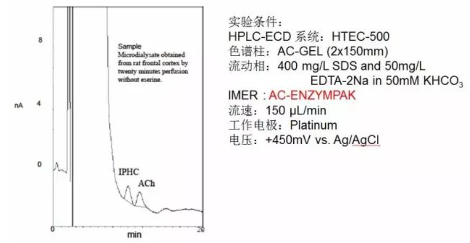 大鼠额叶皮层微透析样品中乙酰胆碱的检测 大鼠额叶皮层微透析样品中乙酰胆碱的检测