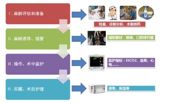 吸入麻醉操作四步曲 吸入麻醉操作四步曲