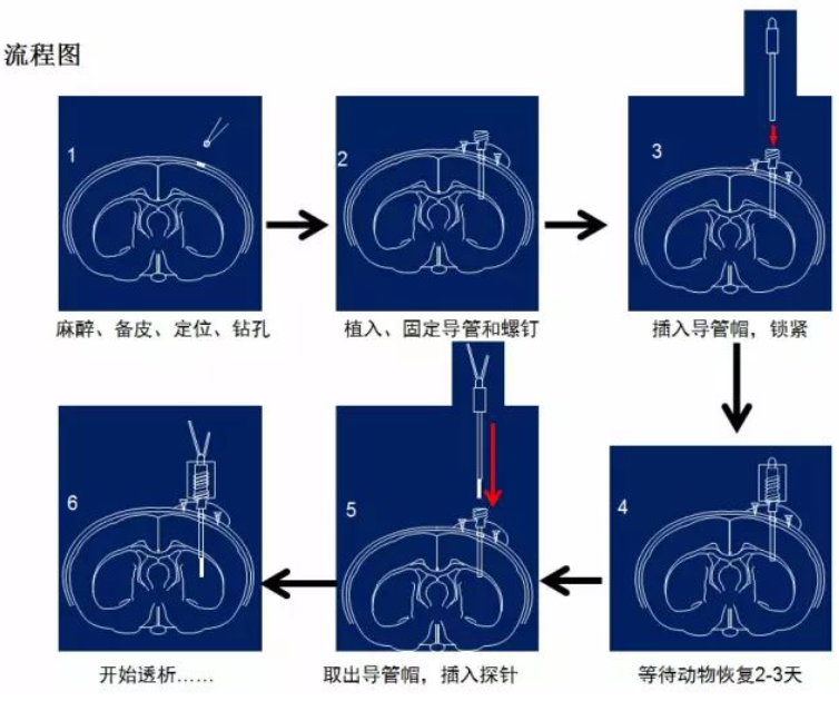 操作步骤 操作步骤