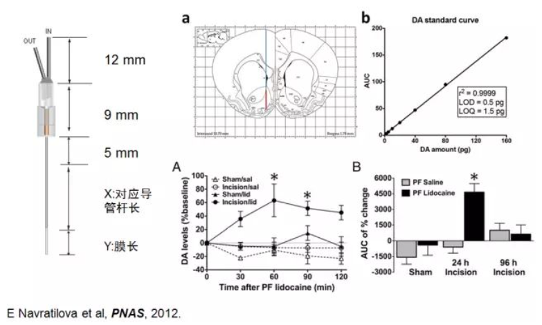 负强化效应4 负强化效应4