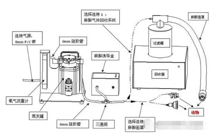 原理图 原理图