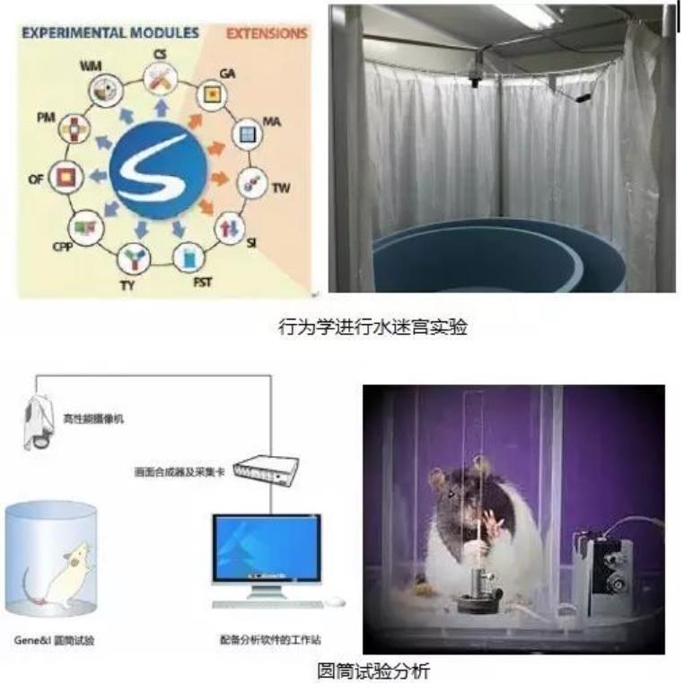 神经功能评分系统测试 神经功能评分系统测试