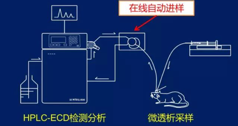 电化学在线检测分析 电化学在线检测分析