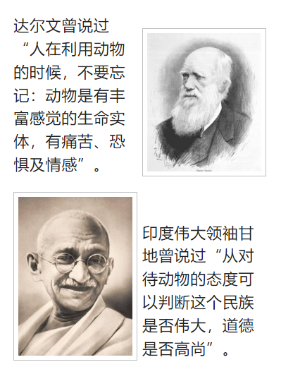 小动物手术保温的重要性 小动物手术保温的重要性