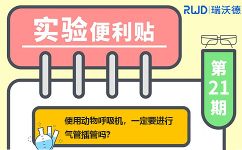 使用动物呼吸机,一定要进行气管插管吗? 使用动物呼吸机,一定要进行气管插管吗?