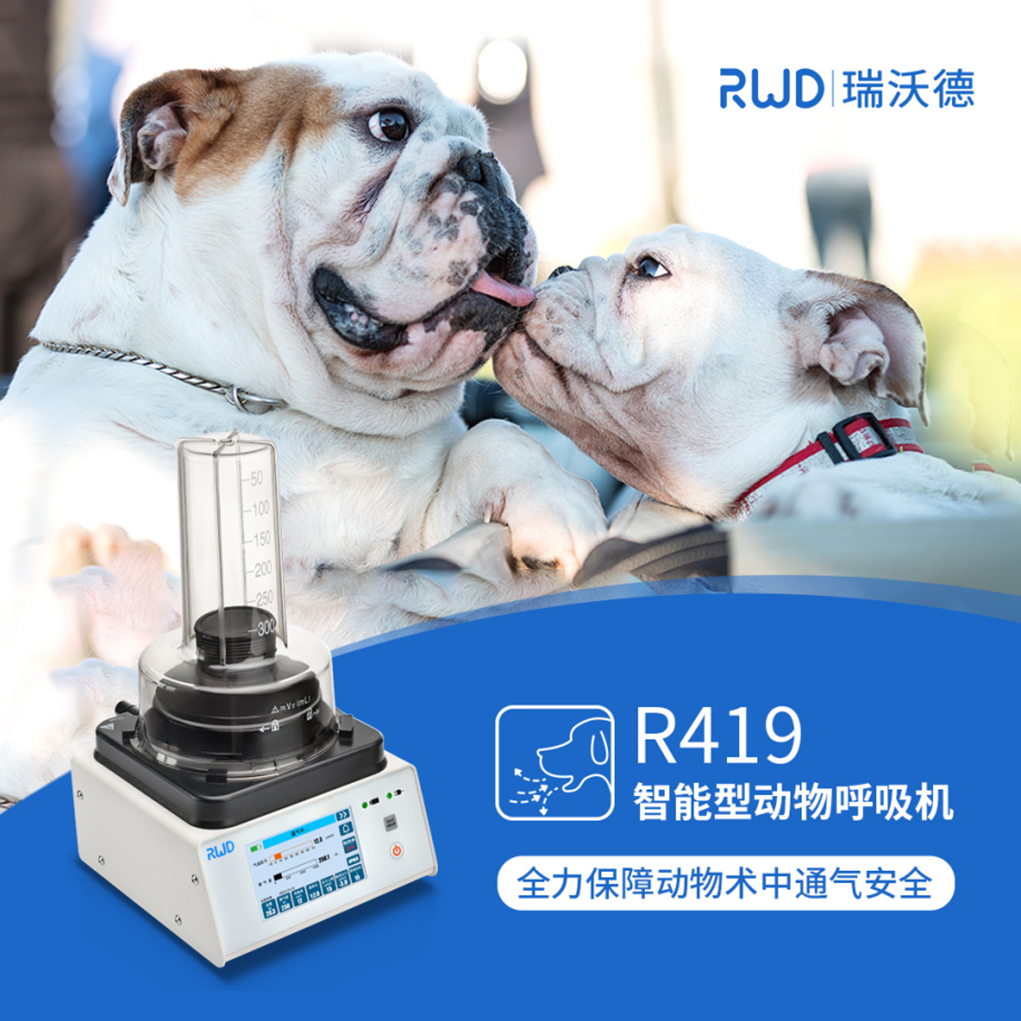 动物呼吸机 动物呼吸机