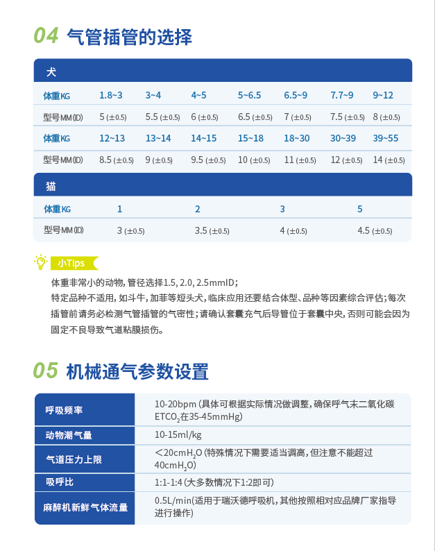 气管插管的选择 气管插管的选择