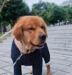 微笑瞬间 微笑瞬间