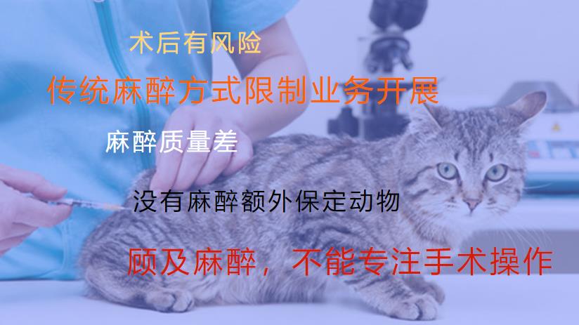 麻醉好麻烦 麻醉好麻烦