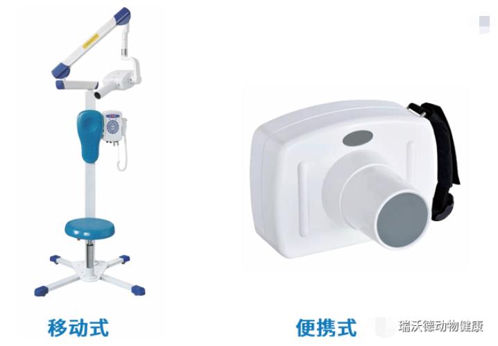 兽用牙科X线摄影系统 兽用牙科X线摄影系统