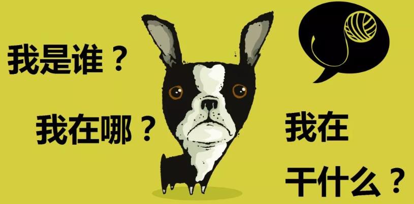 行为变化 行为变化