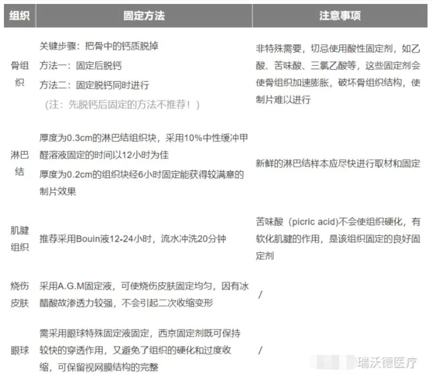 不同组织固定方法 不同组织固定方法