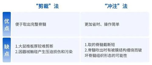 如何提高脊髓组织冰冻切片质量? 如何提高脊髓组织冰冻切片质量?