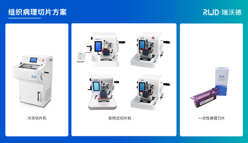 马小红/倪荣军团队发现睡眠剥夺对年轻和老年小鼠的小胶质细胞和行为表型影响不一样 马小红/倪荣军团队发现睡眠剥夺对年轻和老年小鼠的小胶质细胞和行为表型影响不一样