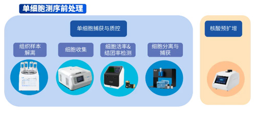 冷冻切片前处理操作以及注意事项有哪些? 冷冻切片前处理操作以及注意事项有哪些?