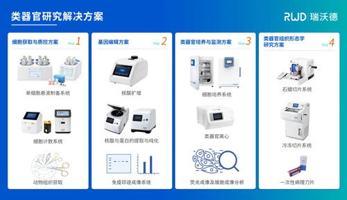 水凝胶3D细胞培养全流程干货 水凝胶3D细胞培养全流程干货